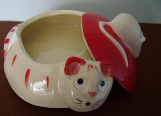 le chat ouvert