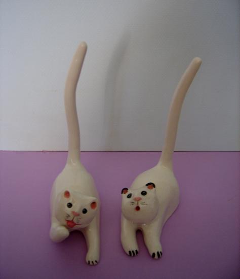 les chats blancs
