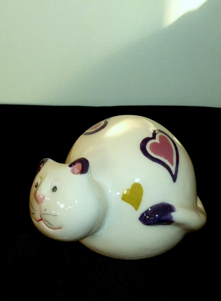 saliere magique chat 